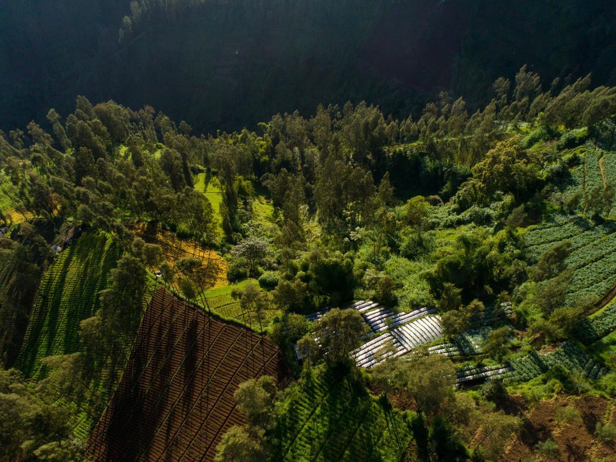 Plataran Bromo Hotel Eksteriør billede